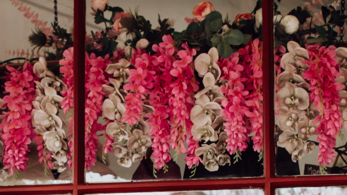 Window flowers
